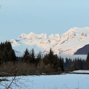 Open to offers! Meet your Posher, SpartanBear